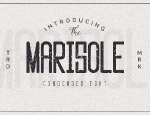 Marisole Typeface font