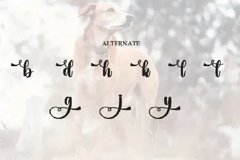 Beagle Script font