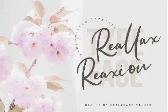 Reallax Reaxion Handwritten font