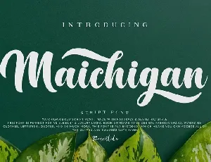 Maichigan font