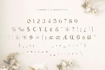 Ramole font