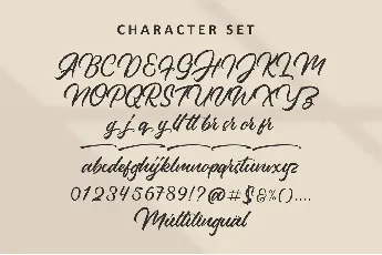 Palmaire font