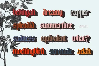 NCL Enigmatic Waesbendiy Demo font