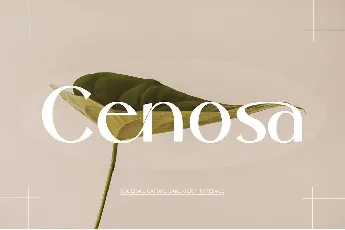 Cenosa font