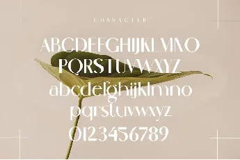 Cenosa font