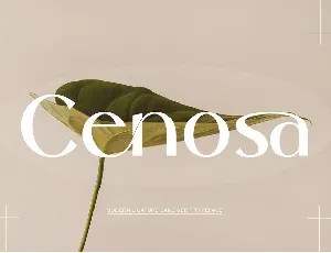 Cenosa font