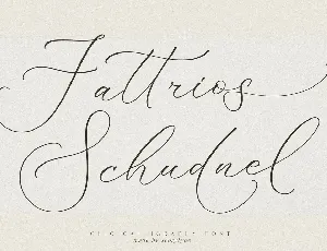 Fattrios Schudnel font