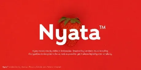 Nyata Sans Serif font