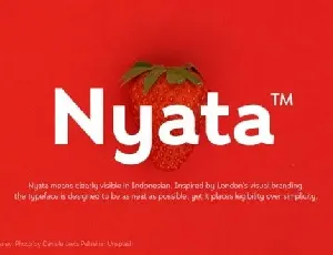 Nyata Sans Serif font
