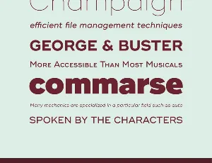 Ridley Grotesk font