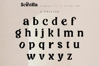 Scintilla font