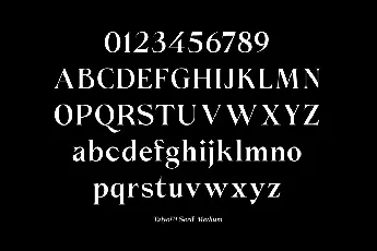 Taiyo Serif font