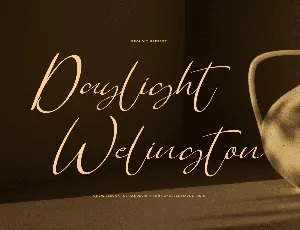 Daylight Welington font