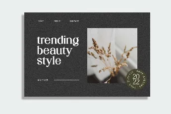 Stylebooks Typeface font