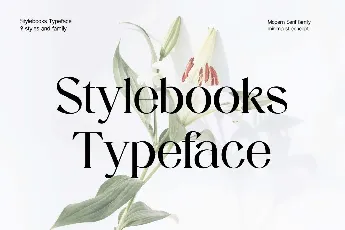 Stylebooks Typeface font