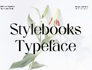 Stylebooks Typeface font