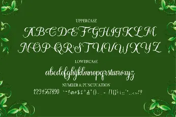 Whitney font