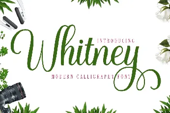 Whitney font