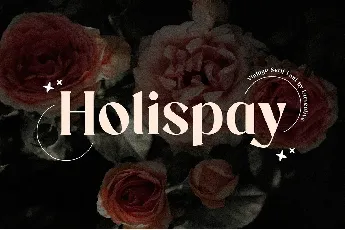 Holispay font