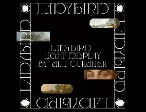 Ladybird Light font