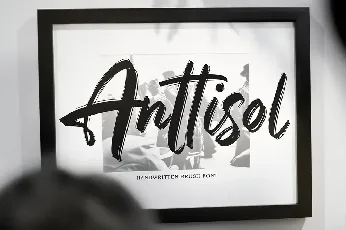 Anttisol font