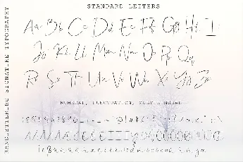 Shallou Signature font