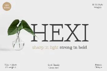 Hexi font