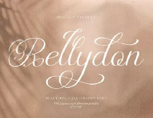 Rellydon font