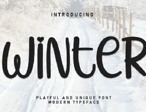 Winter Display font