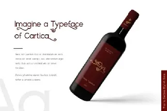 Cartica Sans Serif font