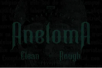 Aneloma Demo Rough font