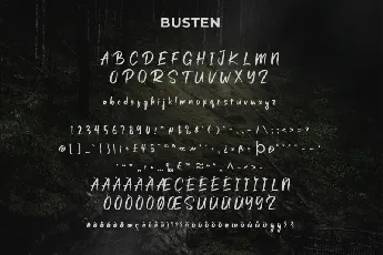 Busten – Brush Lettering font