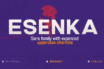 Esenka Free font