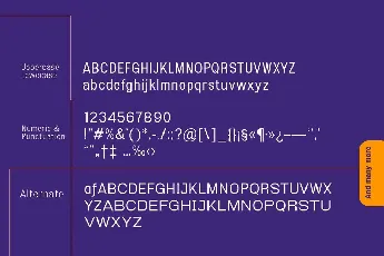 Esenka Free font