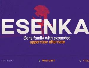 Esenka Free font