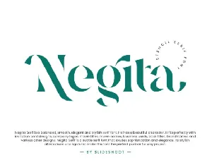 Negita font