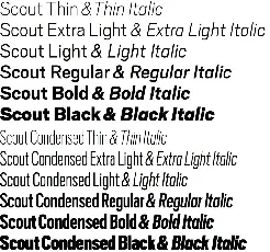 Scout Family font