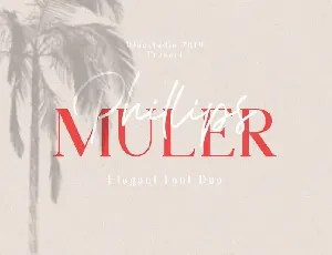 Phillips Muler Duo font