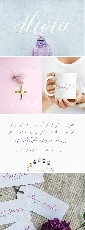 Alivia Script font