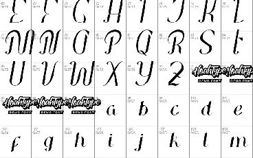 ParadisePlumsDemo font