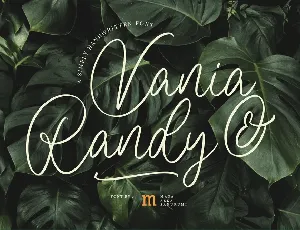 Vania and Randy font