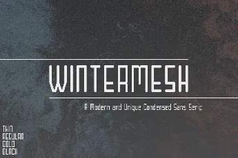 Wintermesh font