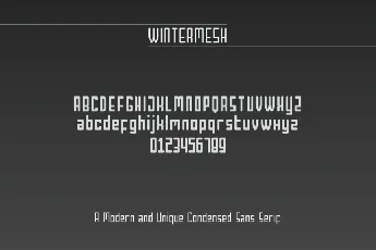 Wintermesh font