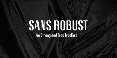 Robust Typeface font