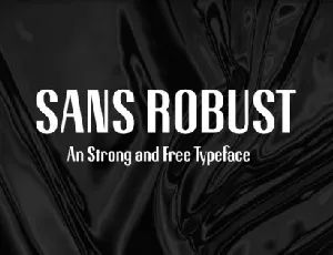 Robust Typeface font