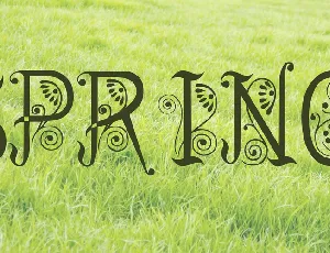 Spring font