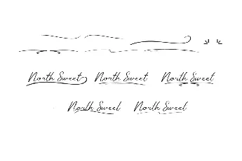 North Sweet Demo font