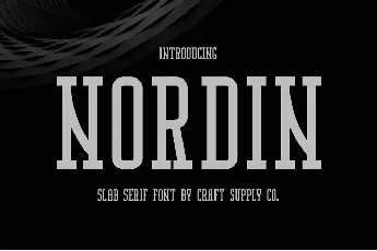 Nordin Slab Demo font