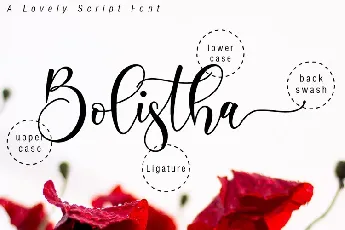 Boshela Script font