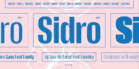 Sidro Family font